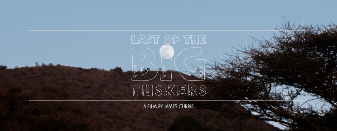 Last of the Big Tuskers Cover Photo 01